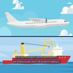 DBS - DIRECTION DE LA BIOSÉCURITÉ - Publicité - B4